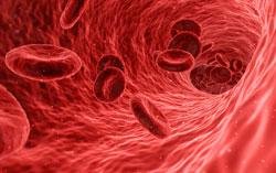 Blood flow