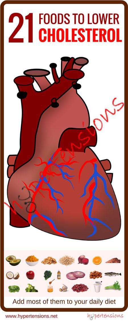 foods lower cholesterol infographic