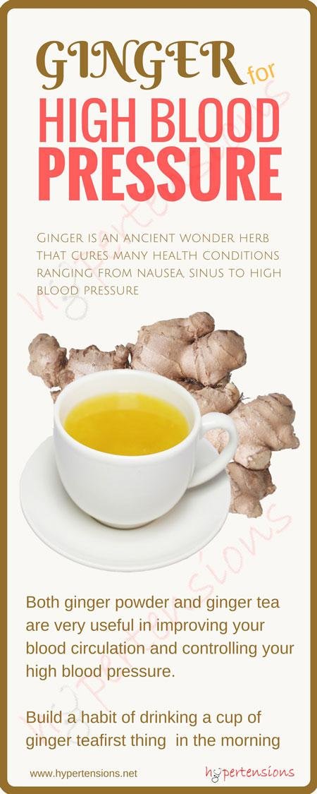 ginger hypertension infographic
